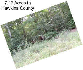 7.17 Acres in Hawkins County