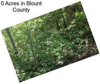 0 Acres in Blount County