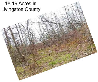 18.19 Acres in Livingston County
