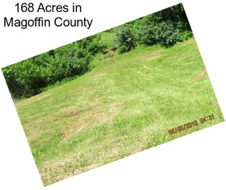 168 Acres in Magoffin County