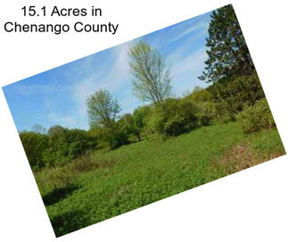 15.1 Acres in Chenango County