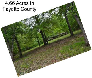 4.66 Acres in Fayette County