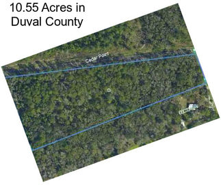 10.55 Acres in Duval County
