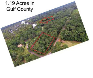 1.19 Acres in Gulf County