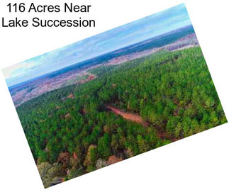 116 Acres Near Lake Succession