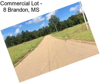 Commercial Lot - 8 Brandon, MS