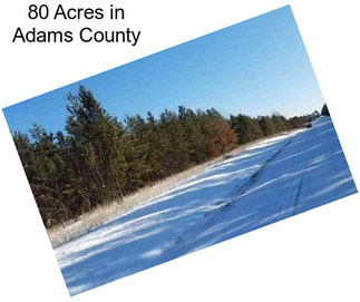 80 Acres in Adams County