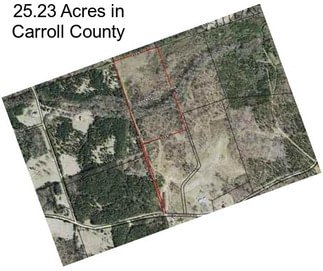 25.23 Acres in Carroll County