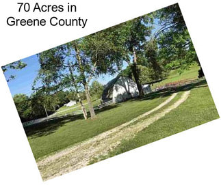 70 Acres in Greene County