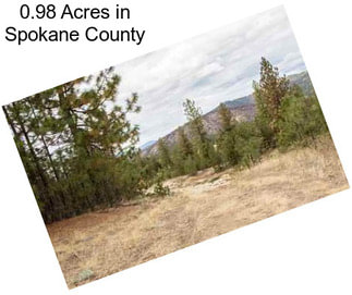 0.98 Acres in Spokane County
