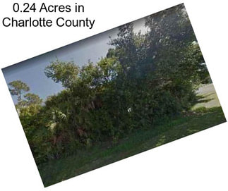 0.24 Acres in Charlotte County