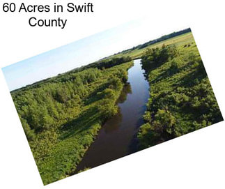 60 Acres in Swift County