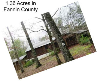 1.36 Acres in Fannin County