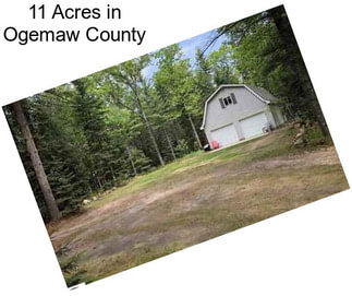 11 Acres in Ogemaw County