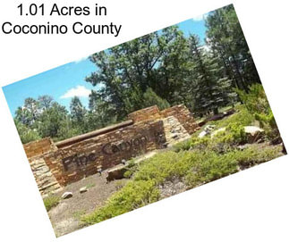 1.01 Acres in Coconino County