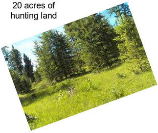 20 acres of hunting land