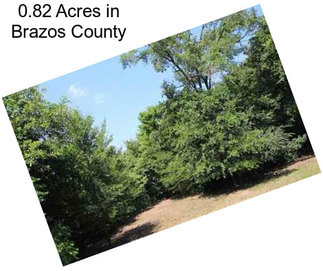 0.82 Acres in Brazos County