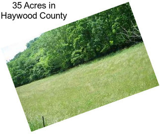 35 Acres in Haywood County