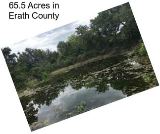 65.5 Acres in Erath County