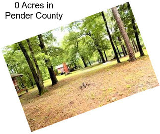 0 Acres in Pender County