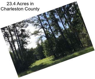 23.4 Acres in Charleston County