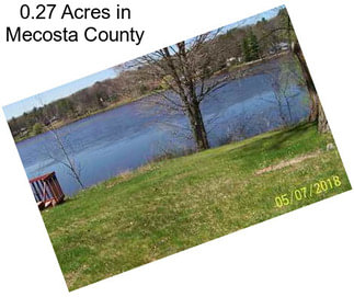 0.27 Acres in Mecosta County