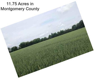 11.75 Acres in Montgomery County
