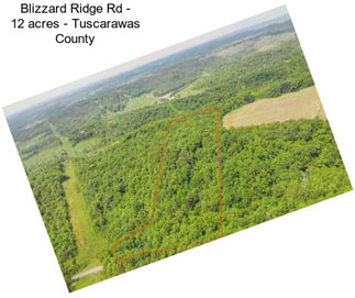 Blizzard Ridge Rd - 12 acres - Tuscarawas County