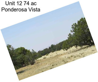 Unit 12 74 ac Ponderosa Vista