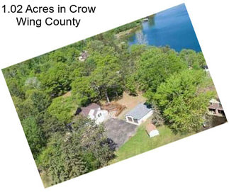 1.02 Acres in Crow Wing County