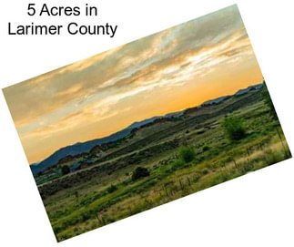 5 Acres in Larimer County