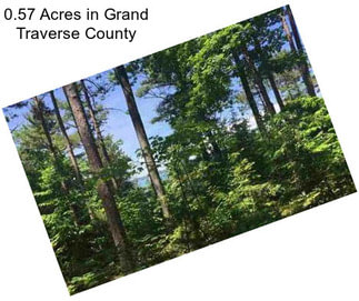 0.57 Acres in Grand Traverse County