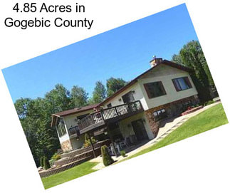 4.85 Acres in Gogebic County