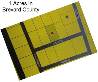 1 Acres in Brevard County