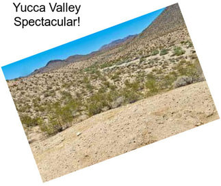 Yucca Valley Spectacular!