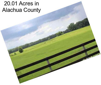 20.01 Acres in Alachua County