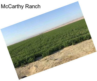 McCarthy Ranch