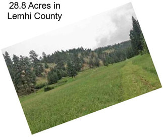 28.8 Acres in Lemhi County