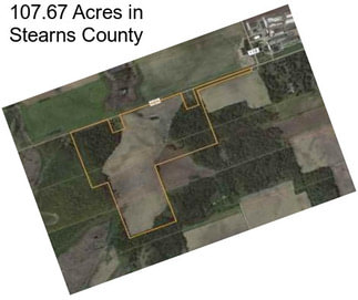 107.67 Acres in Stearns County