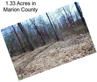 1.33 Acres in Marion County
