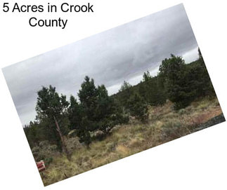 5 Acres in Crook County