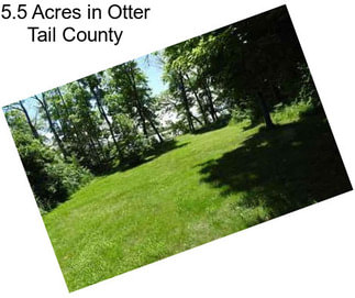 5.5 Acres in Otter Tail County