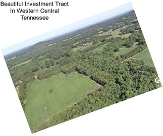 Beautiful Investment Tract In Western Central Tennessee