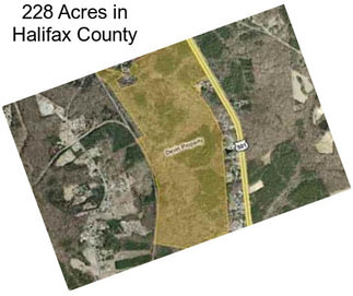 228 Acres in Halifax County