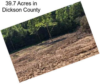 39.7 Acres in Dickson County