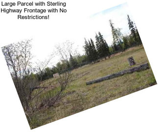 Large Parcel with Sterling Highway Frontage with No Restrictions!