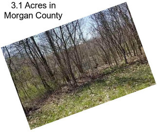 3.1 Acres in Morgan County