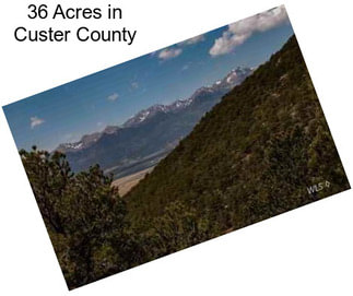 36 Acres in Custer County