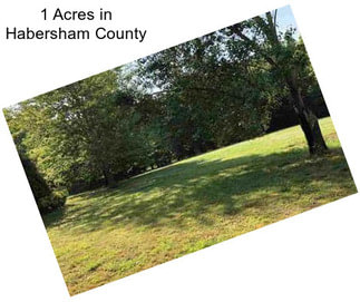 1 Acres in Habersham County