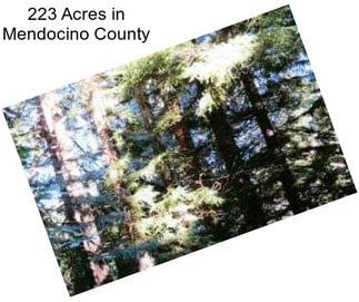 223 Acres in Mendocino County